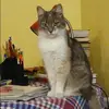 Отзыв от Ираида Фролова